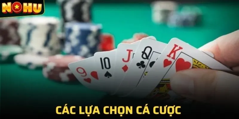 Các lựa chọn cá cược trong cách chơi xì tố 5 cây