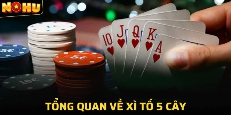 Tổng quan về xì tố 5 cây